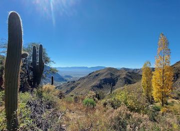 argentina/cafayate/landmark/el-divisadero