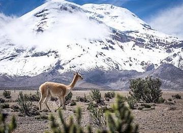 ecuador/ambato/landmark/volcano-chimborazo