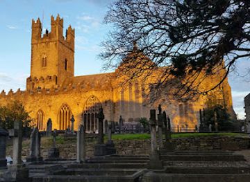 ireland/county-limerick/landmark/saint-mary-s-cathedral
