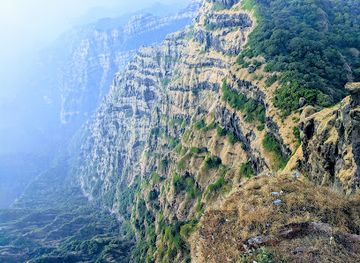 india/mahabaleshwar/landmark/mapro-garden
