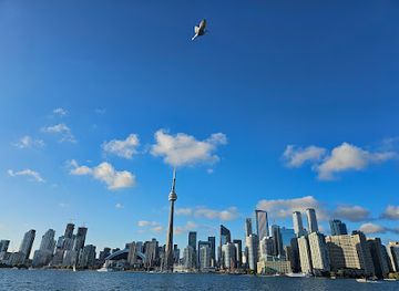 canada/toronto/landmark/toronto-downtown