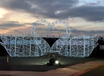 south-korea/jeju-city/landmark/jeju-light-garden