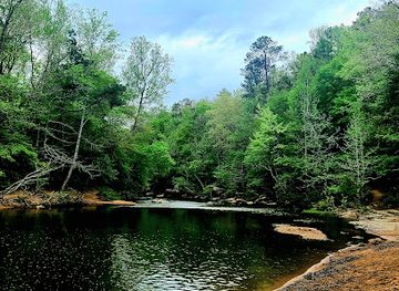 alabama/tuscaloosa-national-forest/landmark/hurricane-creek-park