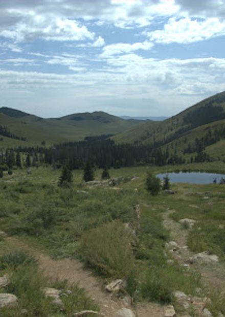 photo