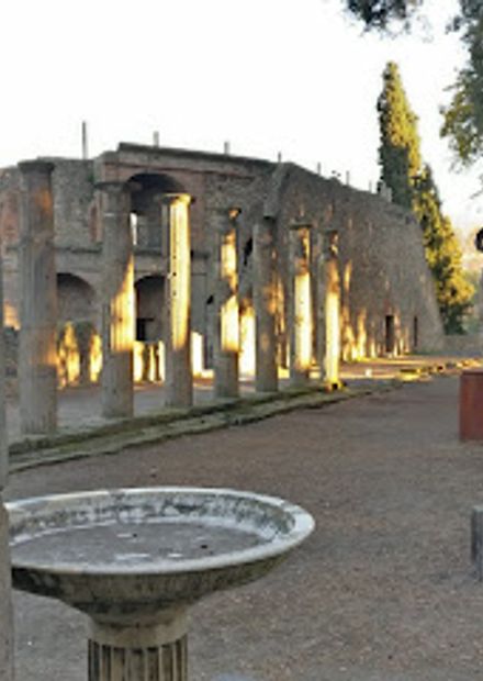 Triangular Forum