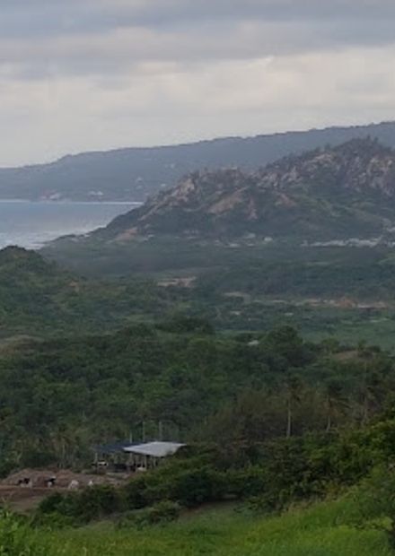 Cherry Tree Hill