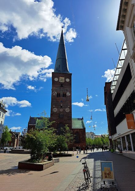 Viking Museum
