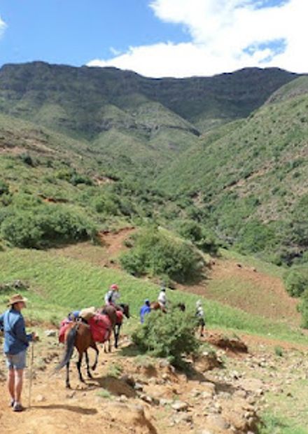 Thaba Tours