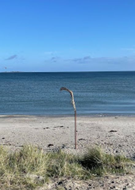 Palmestranden