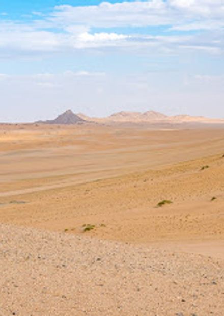 Kaokoveldwoestijn