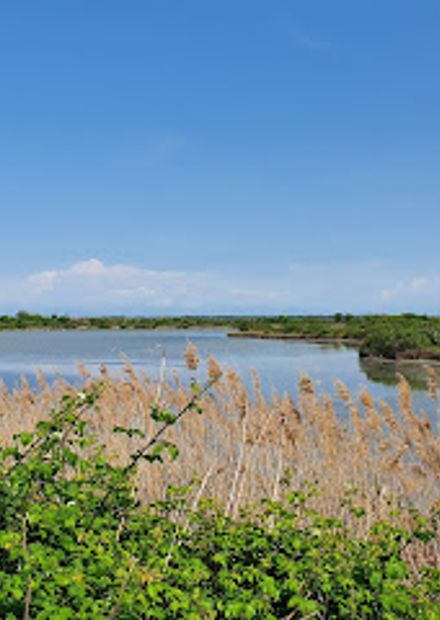 Canal Novo Valley Nature Reserve