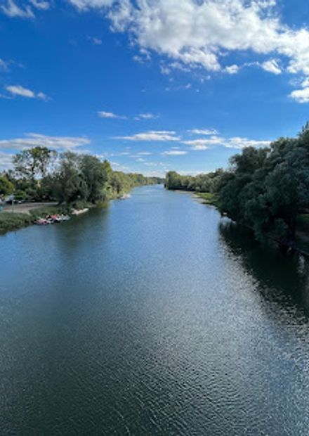 Bodrog Bridge
