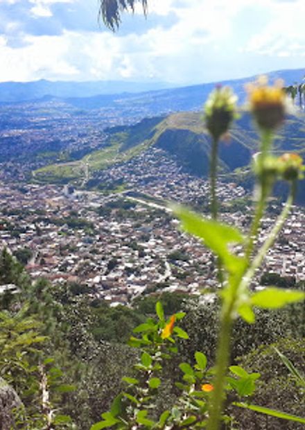 Parque El Picacho