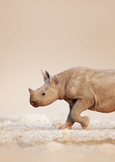 Secret Namibia