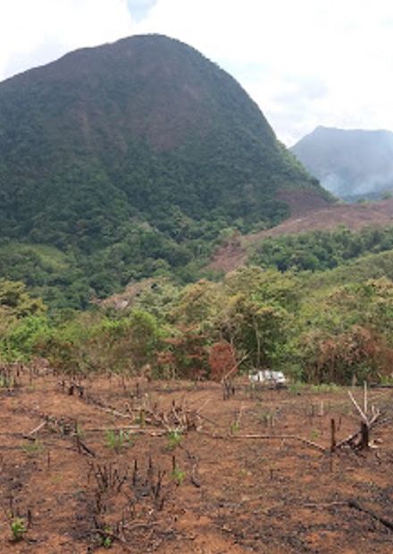 Cerro Madera