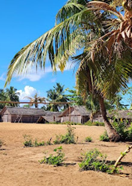 Diving Cattitude