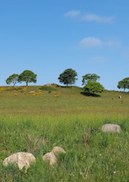 Slaggård Banke