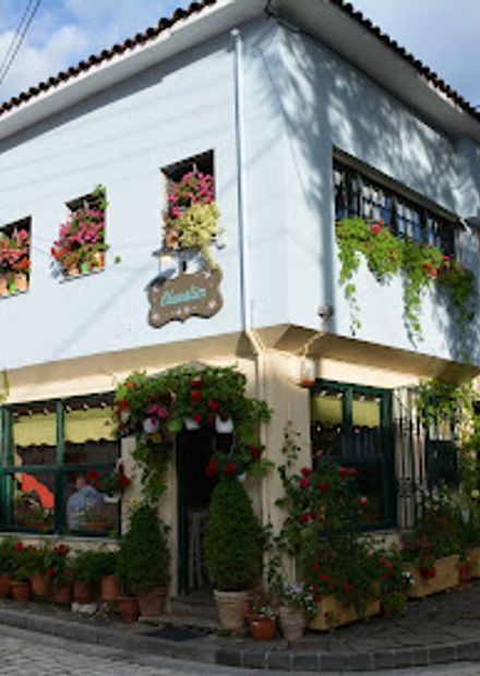 photo