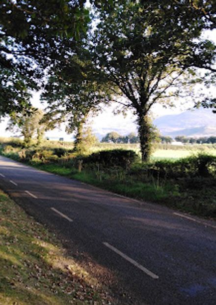 Killarney Guided Walks