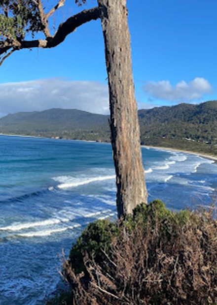 Pirates Bay Beach