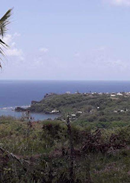 Codrington College