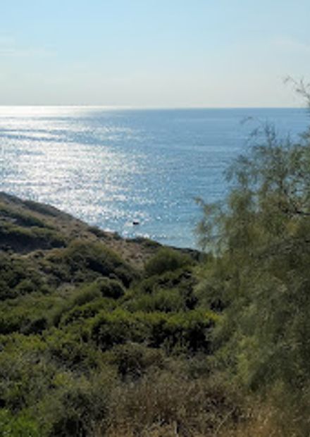 Ranti Forest Beach