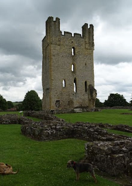 photo