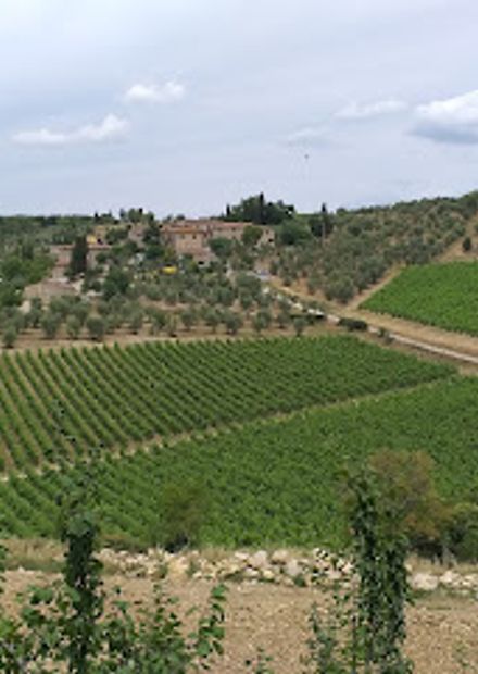 Castello di Ama