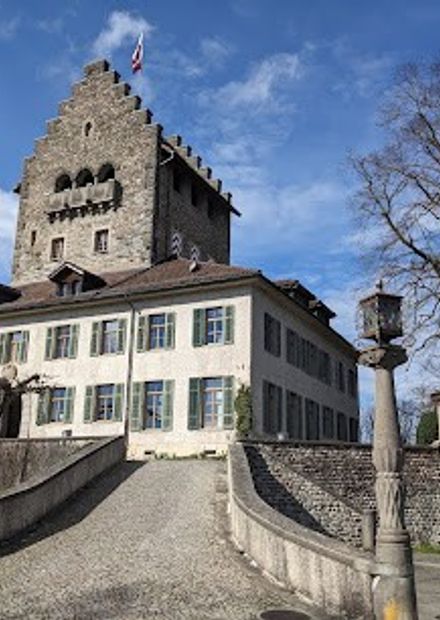 Castle Uster