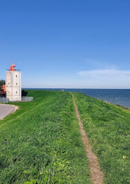 De Ven