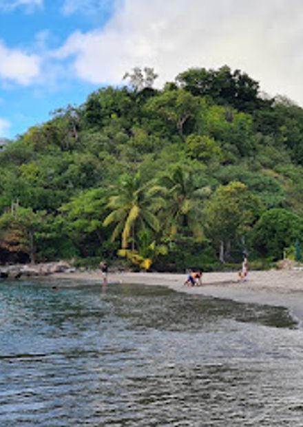 Roseau beach