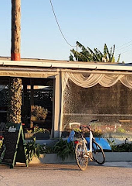 Rose Cafe Bar Pizzaria