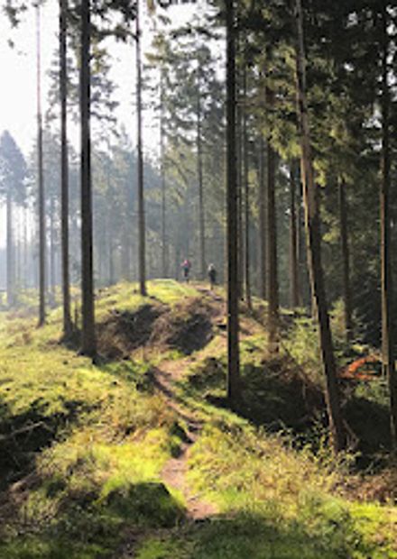 Knagerne Silkeborg