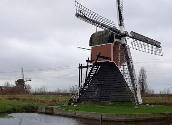 netherlands/bollenstreek/landmark/laarzenpad-keukenhof