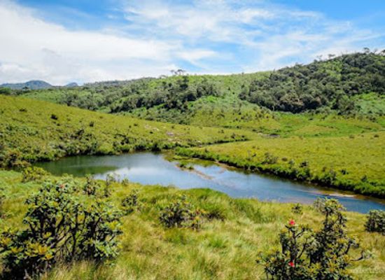 sri-lanka/horton-plains-national-park/landmark/summit-level-pattipola