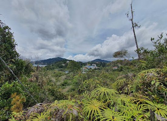 malaysia/cameron-highlands/landmark/jungle-trail-5