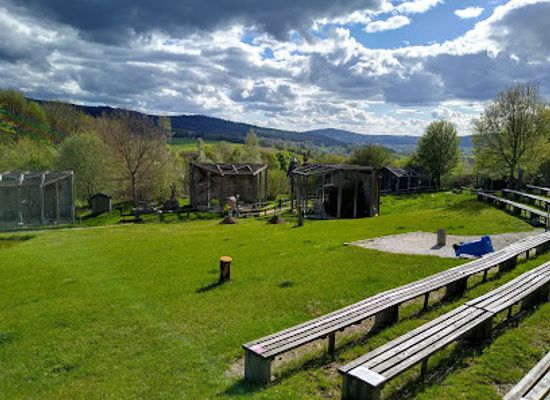 germany/fichtel-mountains/landmark/falknerei-greifvogel-park