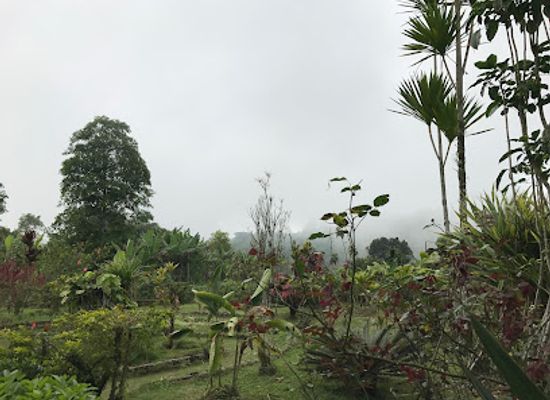 sao-tome-and-principe/me-zochi/landmark/jardim-botanico-do-bom-sucesso