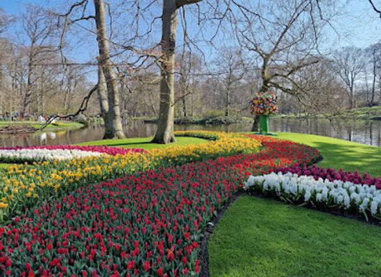 netherlands/keukenhof-gardens/landmark/keukenhof