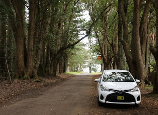 norfolk-island/mount-pitt/landmark/norfolk-island-holiday-homes
