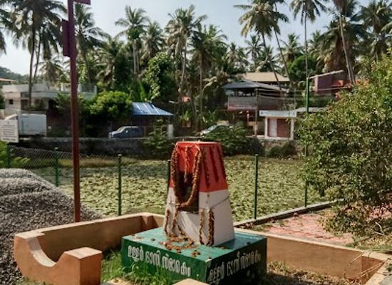 india/trivandrum/landmark/kannottukonam-pond-and-park
