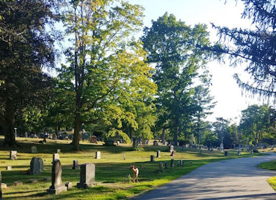 massachusetts/waltham/landmark/mt-feake-cemetery