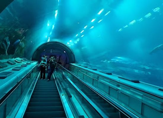 united-arab-emirates/abu-dhabi-region/landmark/seaworld-abu-dhabi