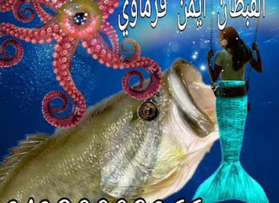 egypt/hurghada/landmark/alqbtan-aymn-alfarmawy