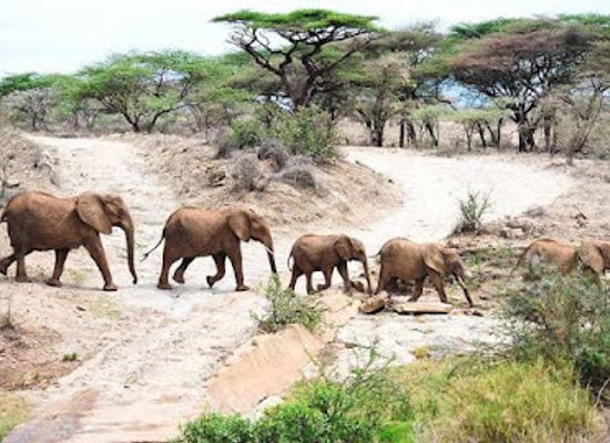 tanzania/western-zone/landmark/katavi-national-park