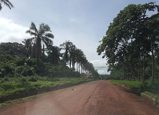 guinea/kindia-region/landmark/universite-de-kindia-campus-a