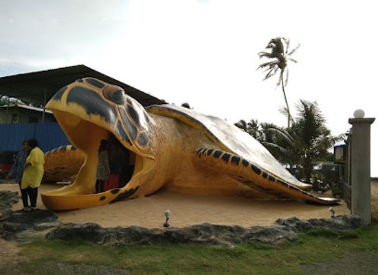sri-lanka/southern-province/landmark/sea-turtle-hatchery-habaraduwa