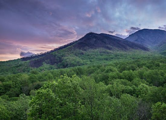 north-carolina/great-smoky-mountains/landmark/carlos-c-campbell-overlook