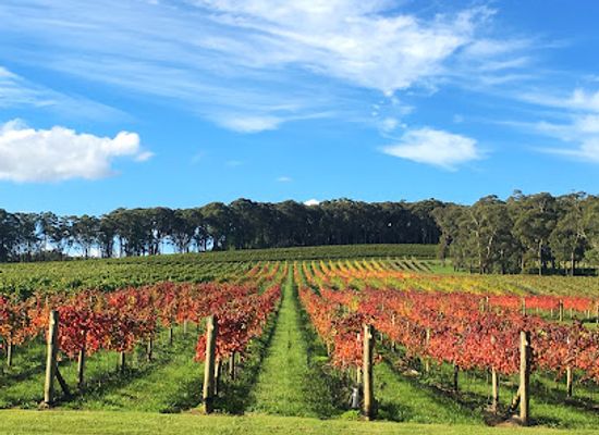 australia/southern-highlands/landmark/centennial-vineyards