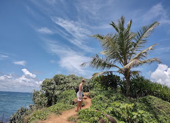 sri-lanka/mirissa/landmark/parrot-rock